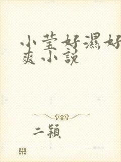 小莹好湿好紧太爽小说