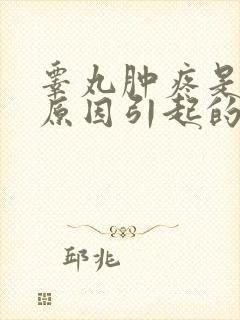 睾丸肿疼是什么原因引起的