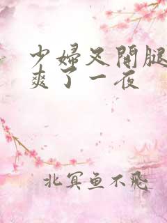 少妇叉开腿让我爽了一夜