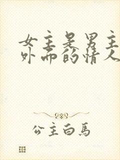 女主是男主养在外面的情人的小说