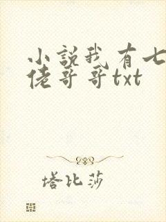 小说我有七个大佬哥哥txt