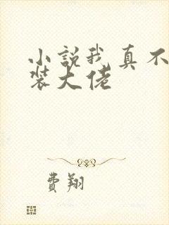 小说我真不是女装大佬