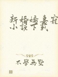 新婚娇妻宠上瘾小说下载