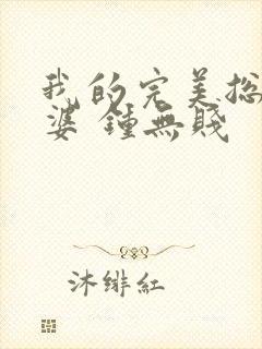 我的完美总裁老婆 钟无贱