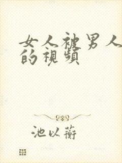 女人被男人操舔的视频