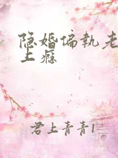 隐婚偏执老公宠上瘾