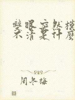 双眼突然模糊看不清是什么原因