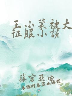 王小蒙被大肉楱征服小说