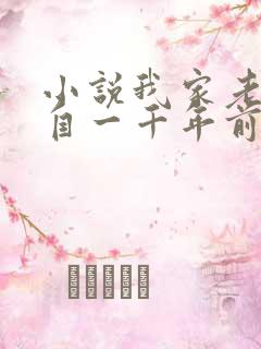 小说我家老婆来自一千年前大结局