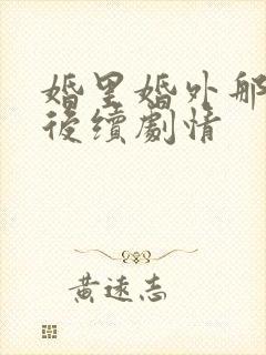 婚里婚外那些事后续剧情