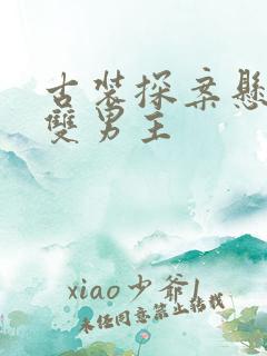 古装探案悬疑剧双男主