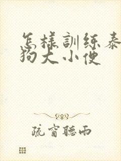 怎样训练泰迪狗狗大小便