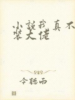 小说我真不是女装大佬