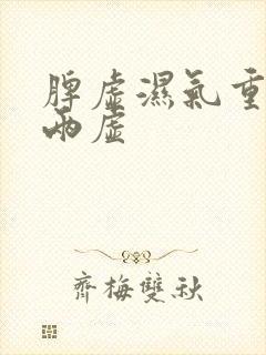 脾虚湿气重阴阳两虚