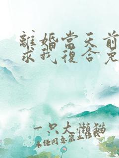 离婚当天前夫跪求我复合免费