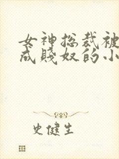 女神总裁被调教成贱奴的小说