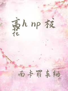 高h np 校花