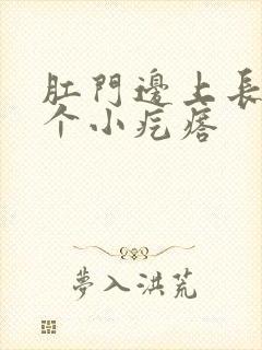 肛门边上长了一个小疙瘩