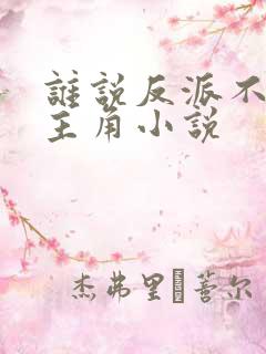 谁说反派不能当主角小说