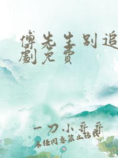 傅先生别追了短剧免费