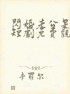 闪婚老公是大佬短剧免费观看