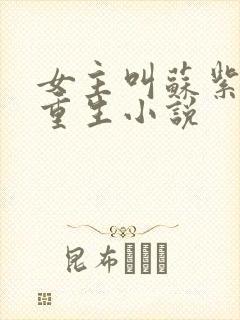 女主叫苏紫宸的重生小说