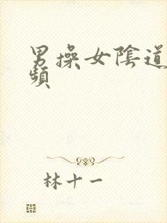 男操女阴道的视频