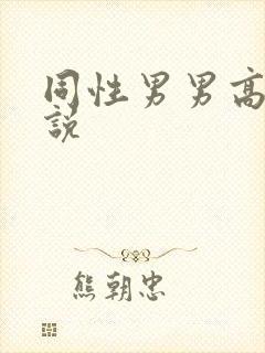 同性男男高h小说