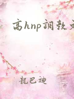 高hnp调教文