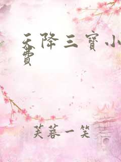 天降三宝小说免费