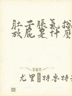 肚子胀气总是想放屁是什么原因