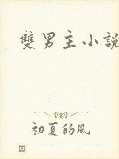 双男主小说穿书