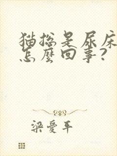 猫总是尿床上,怎么回事?