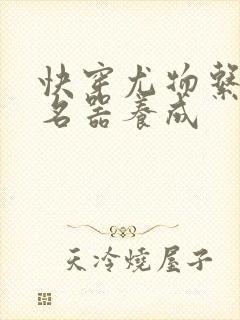 快穿尤物系统之名器养成