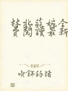 林北苏婉全文免费阅读最新