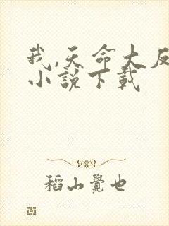 我,天命大反派小说下载