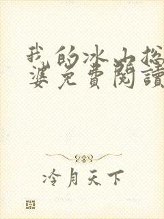 我的冰山总裁老婆免费阅读