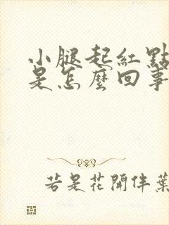 小腿起红点发痒是怎么回事