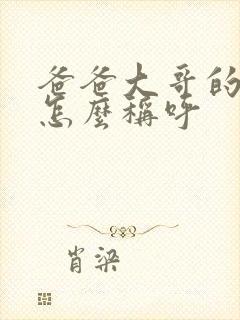 爸爸大哥的儿子怎么称呼