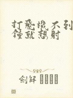 打飞机不到一分钟就想射