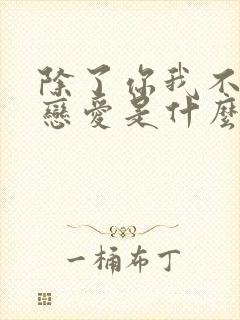 除了你我不会再恋爱是什么歌