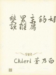 双男主的好看小说推荐