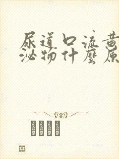 尿道口流黄色分泌物什么原因