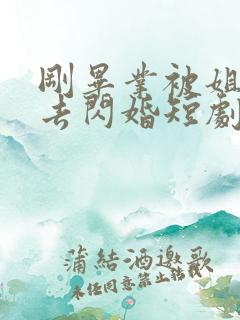 刚毕业被姐姐拉去闪婚短剧