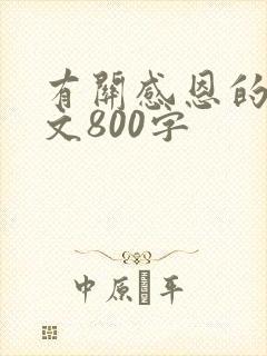 有关感恩的记叙文800字