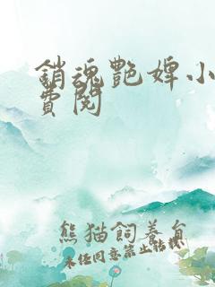 销魂艳婢小说免费阅