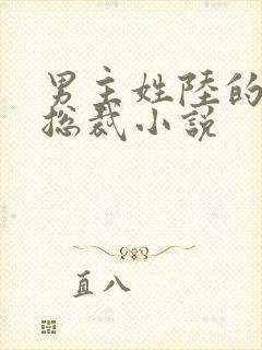 男主姓陆的所有总裁小说
