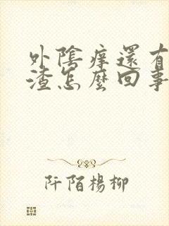 外阴痒还有豆腐渣怎么回事