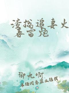 渣总追妻火葬场 春雷炮