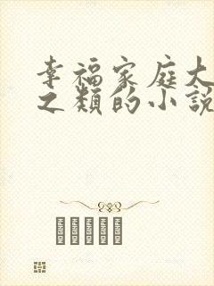 幸福家庭大杂烩之类的小说